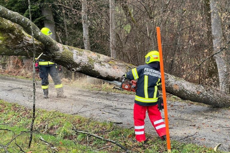 C44FDBF3-3AE7-4FFA-8E1F-3D29929C5658