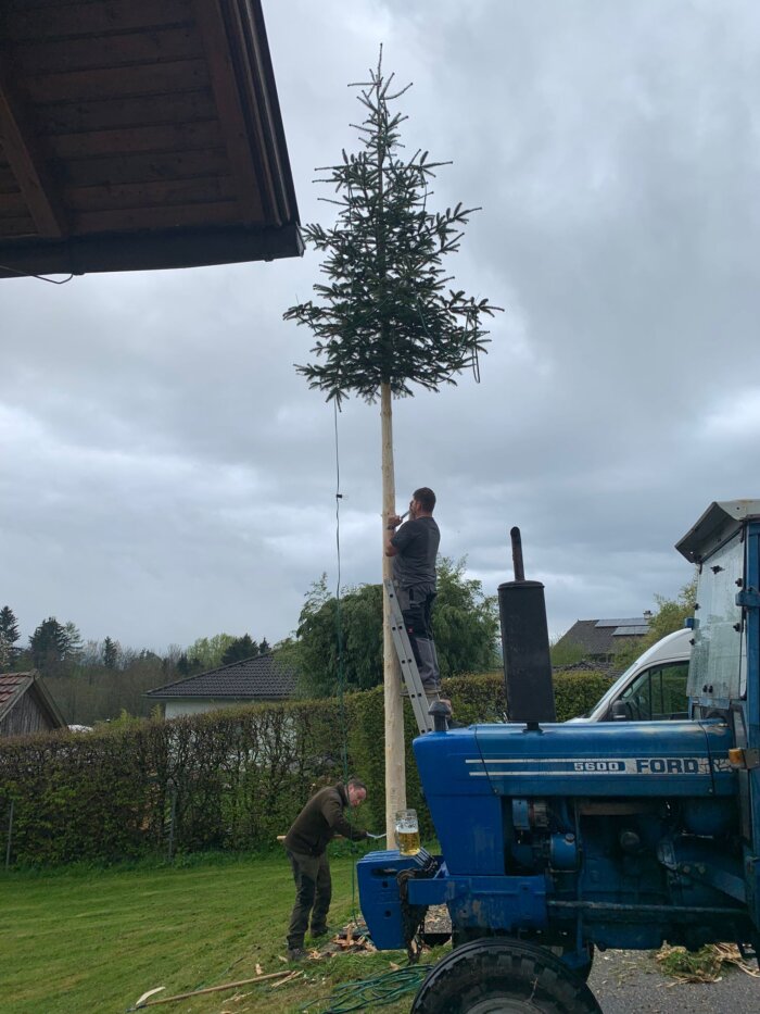 2F485B5C-35CB-4D2C-9AB0-4F8F61360225