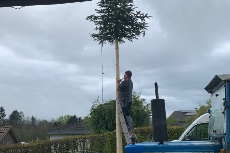 2F485B5C-35CB-4D2C-9AB0-4F8F61360225