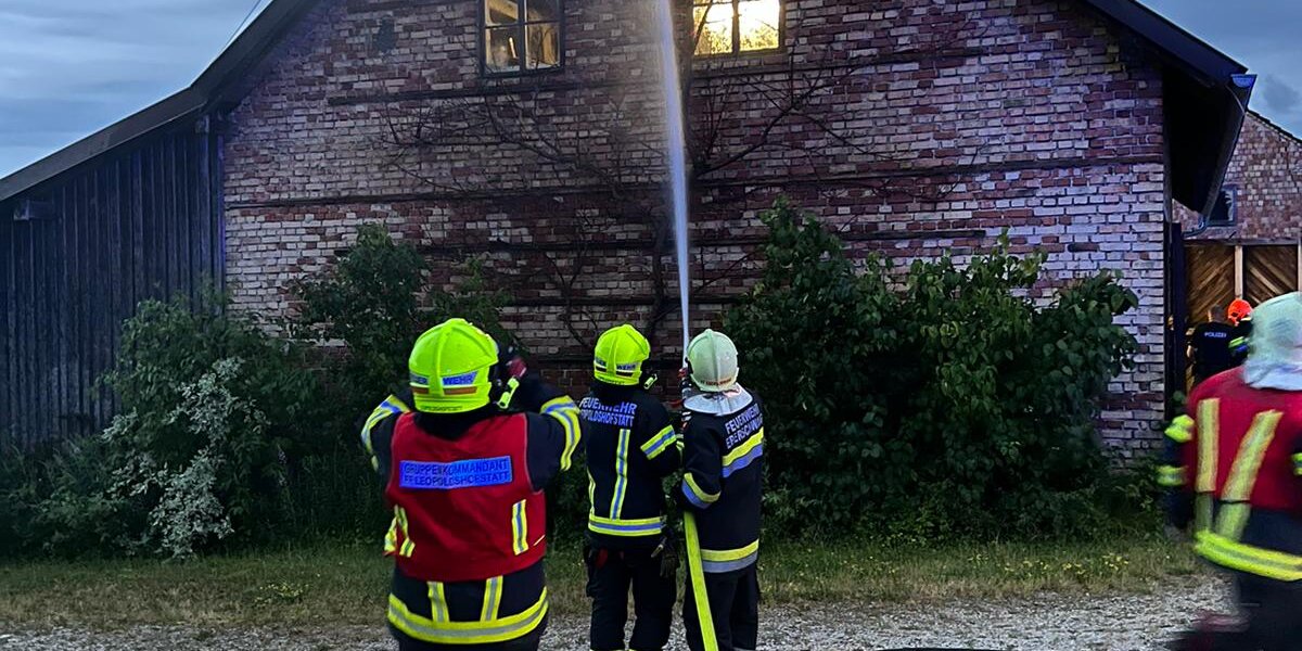 WhatsApp Image 2023-06-27 at 05.35.25