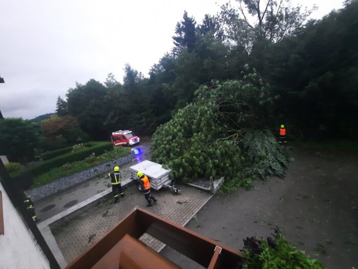 5cc49c67-76c2-475a-95d9-e34748091fad