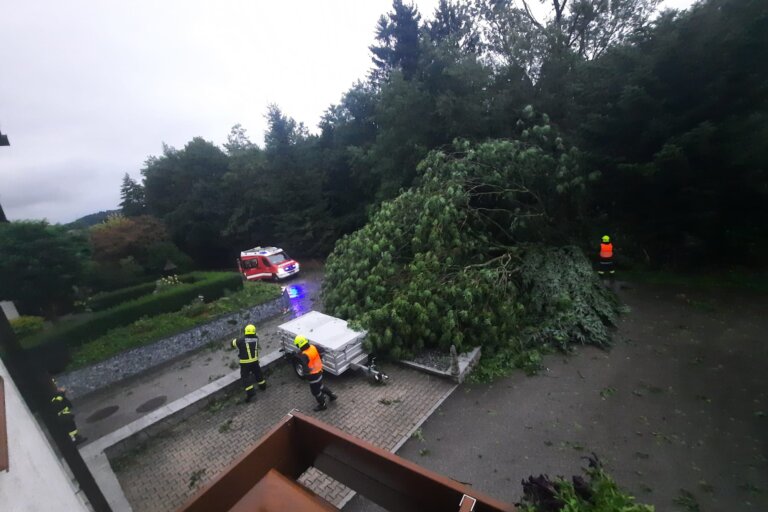 5cc49c67-76c2-475a-95d9-e34748091fad