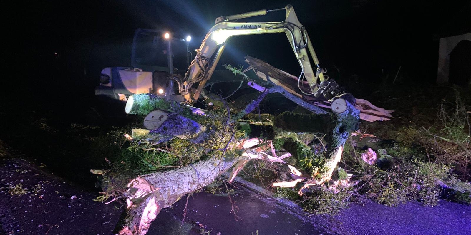 2ceaea65-3daa-46f6-9734-227db804a501