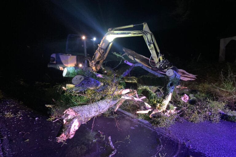 2ceaea65-3daa-46f6-9734-227db804a501