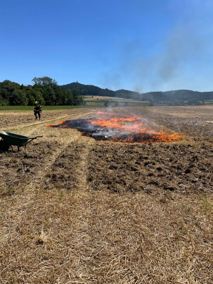 WhatsApp Image 2025-07-19 at 16.15.46