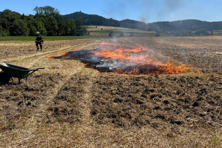 WhatsApp Image 2025-07-19 at 16.15.46