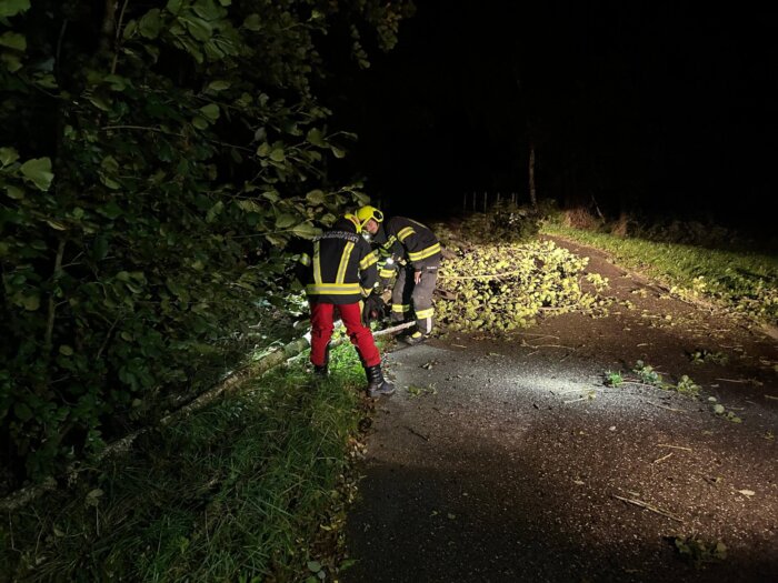 191659db-7824-4698-9132-446ce8648a6b