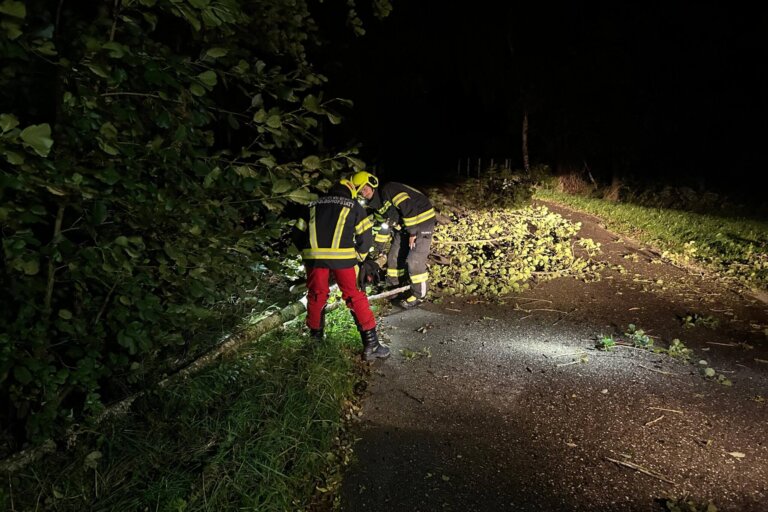 191659db-7824-4698-9132-446ce8648a6b