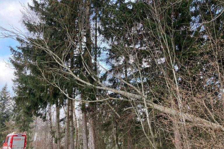 4ec08338-e0d1-4129-9fb8-a779f445d308